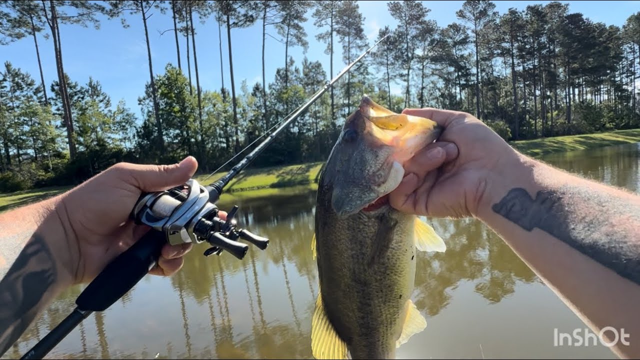 BFS BASS FISHING WITH THE KASTKING KESTREL! #fishing #bassfishing #bigbass #kastking #outdoors #fish