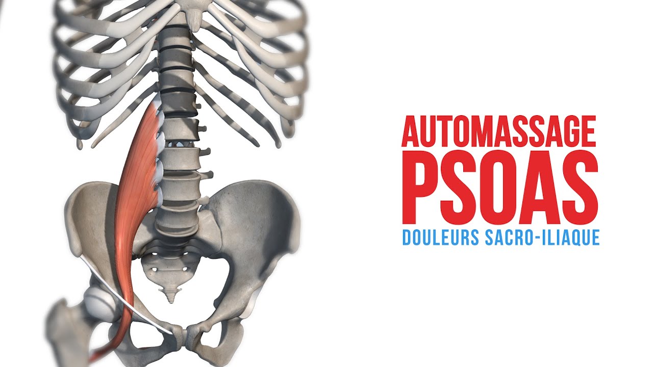 MAL DE DOS ET DOULEURS SACRO ILLIAQUE: AUTOMASSAGE PSOAS
