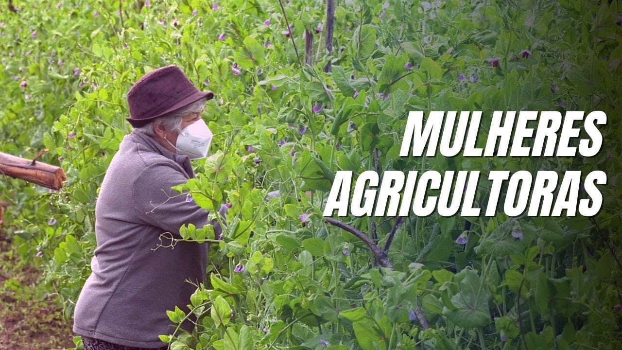 O trabalho no campo da  mulher agricultora em portugal