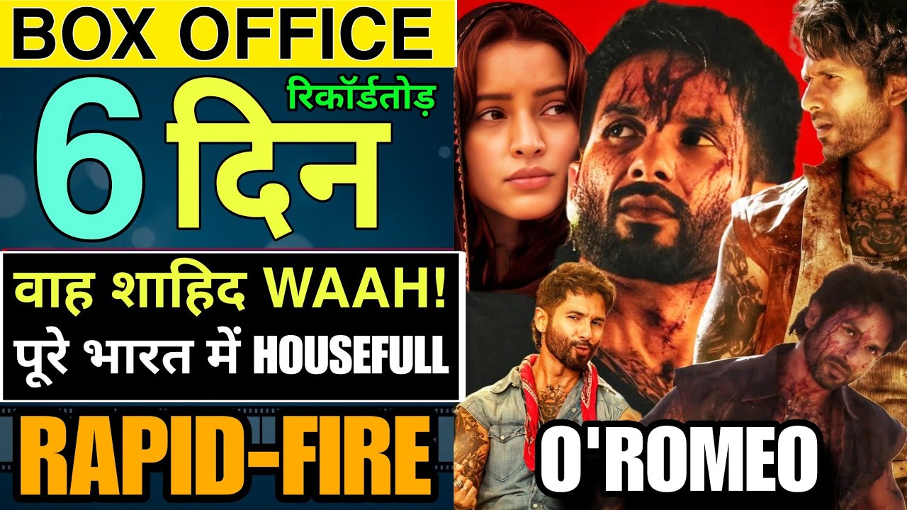 O Romeo 6th Day Collection, O Romeo Box Office Collection, O Romeo Day 6 Collection, Shahid Kapoor