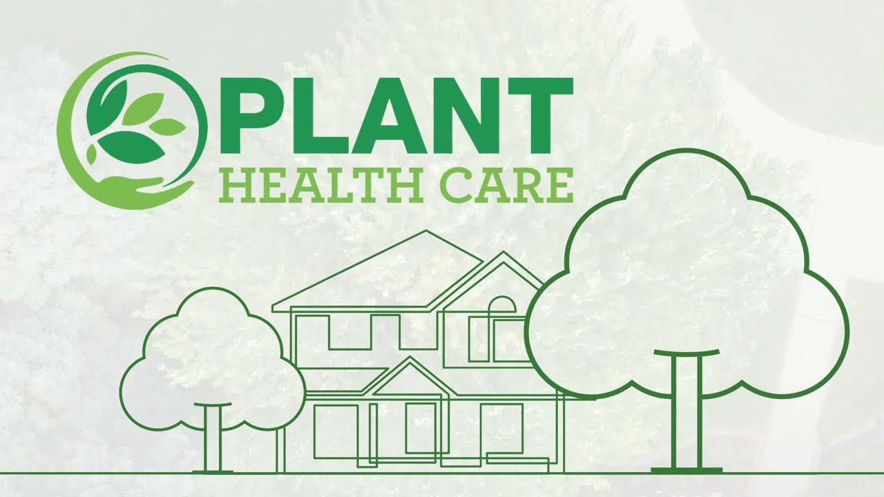 What is a Plant Health Care Program?