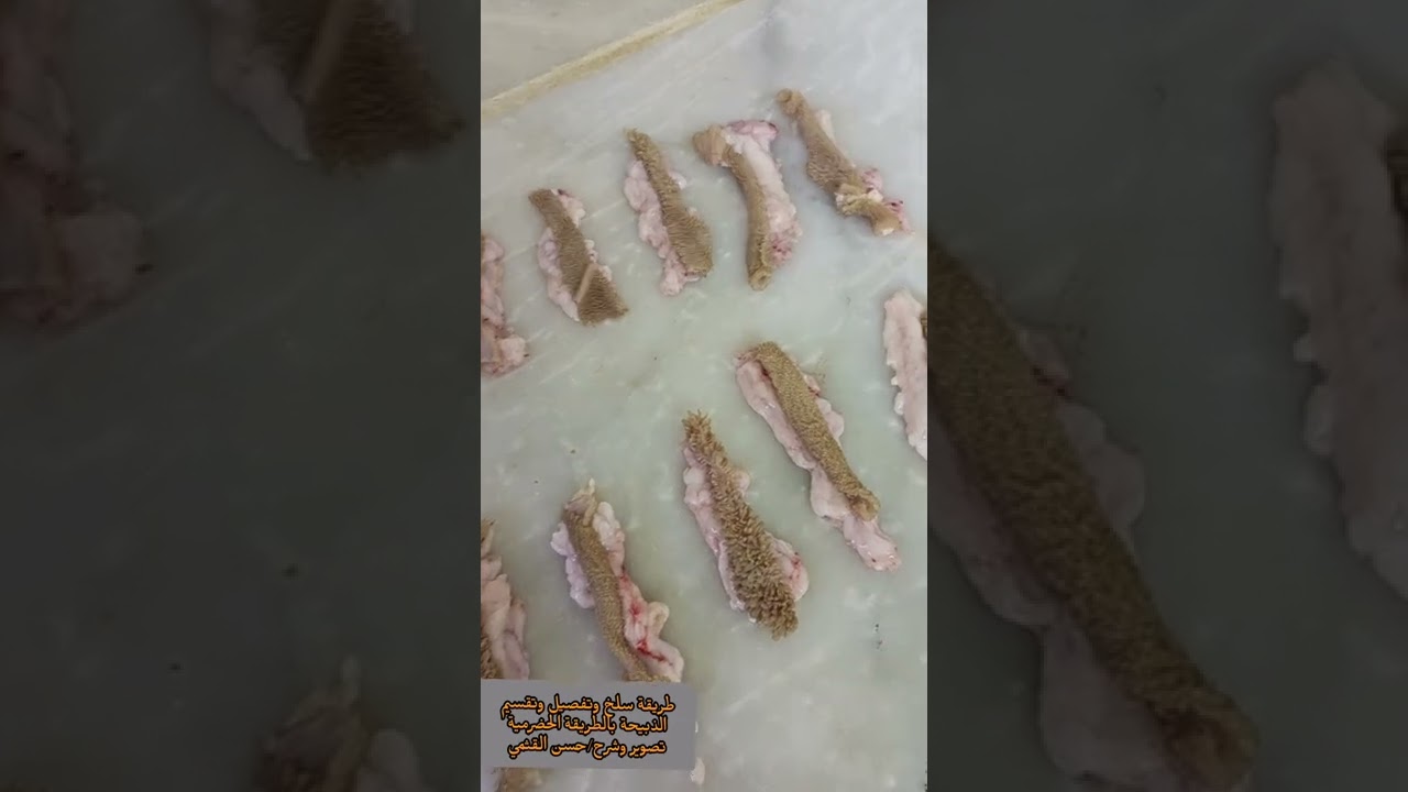 سلخ وتفصيل وتقسيم الذبيحة بالطريقة الحضرمية، حضارم حضرموت  @hadramouttv @