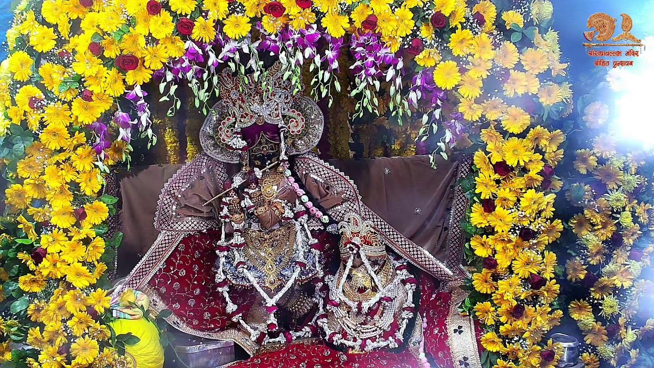 Live : Shri RadhaVallabh Mandir Daily Live Darshan Vrindavan