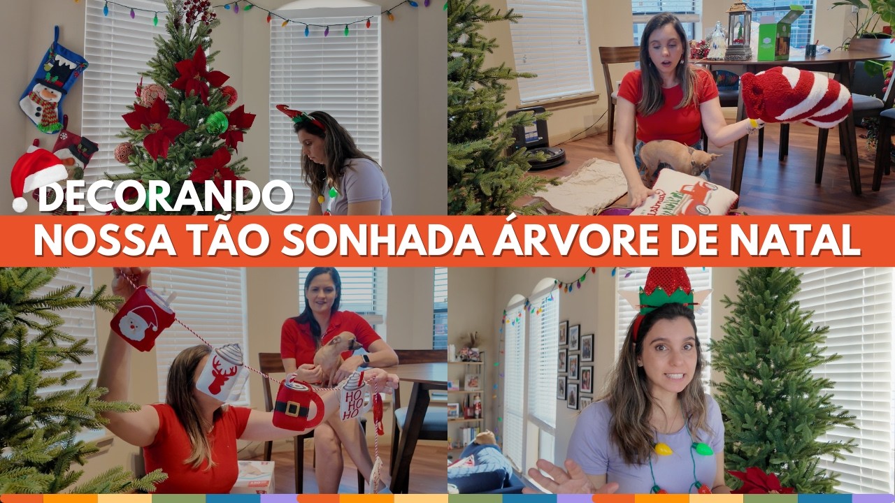 COMPRANDO ENFEITES PARA ÁRVORE NOVA E DECORANDO A CASA PARA O NATAL.