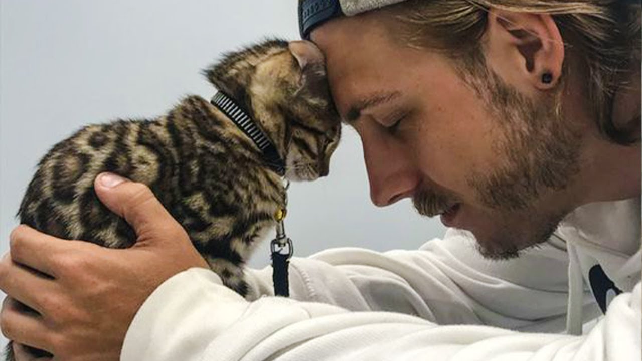100 Emotional Acts Of Kindness Towards Animals That Will Make You Cry