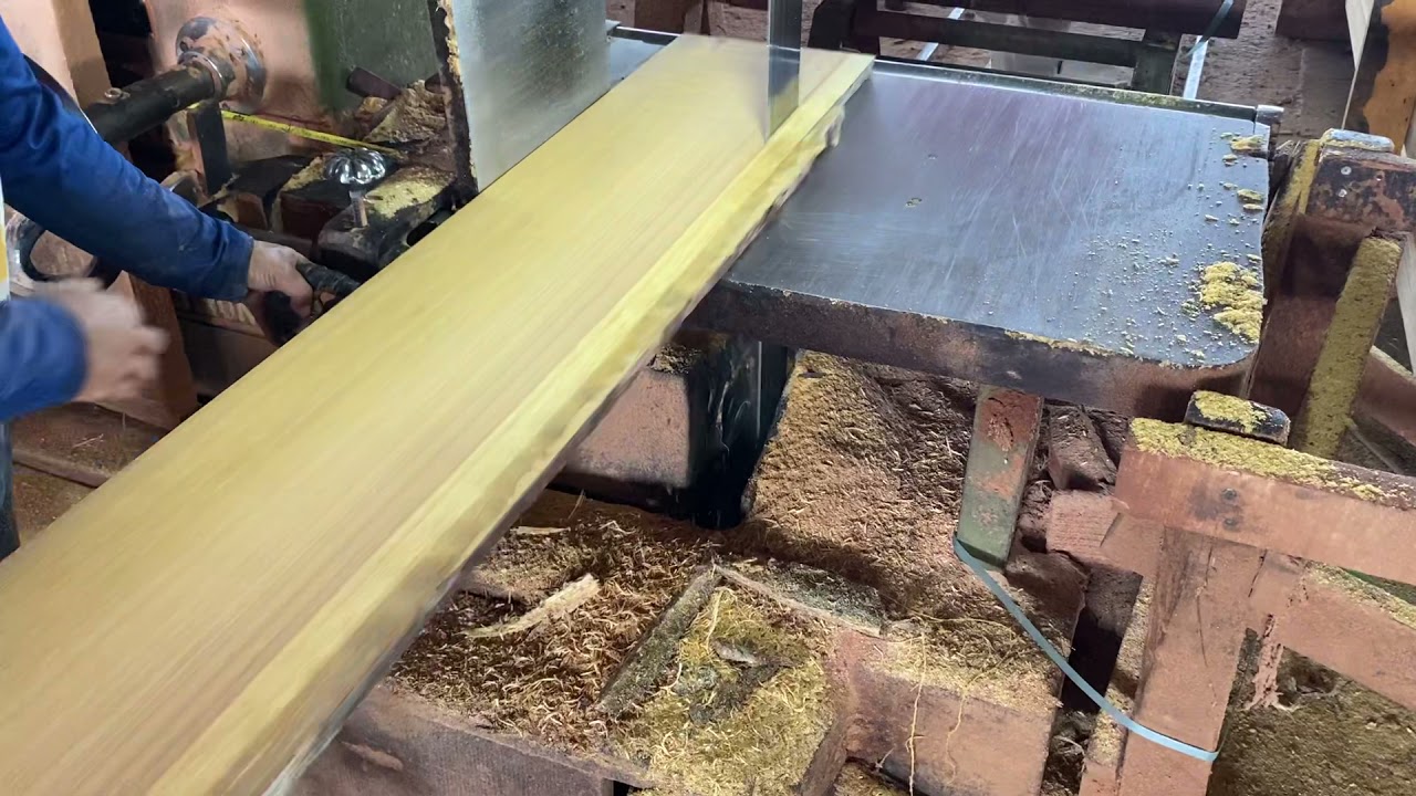 Iroko wood, botanical name - Chlorophora excelsa #iroko#
