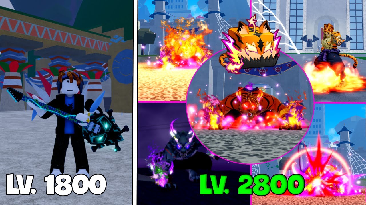 Mình Cày Đơn COMBO Trái Báo Đốm TIGER, Bản UPDATE Mới Nhất Cho Khách Trong Blox Fruit