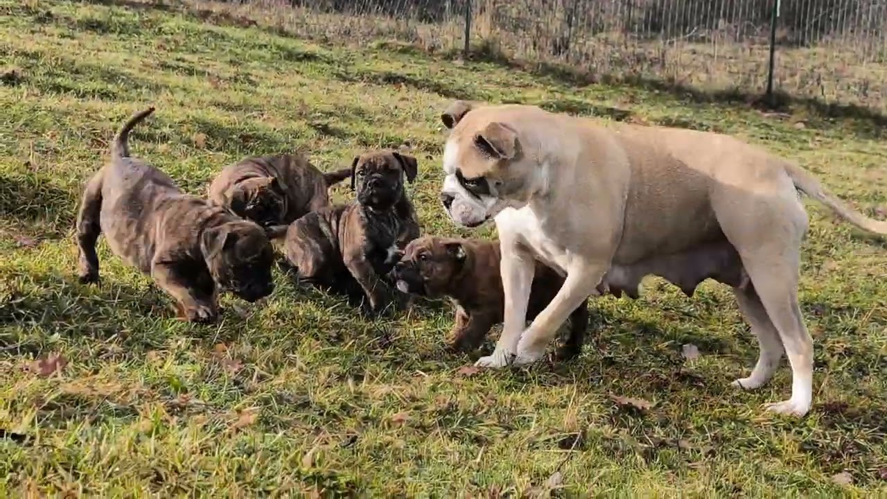 En famille ❤️❤️❤️
