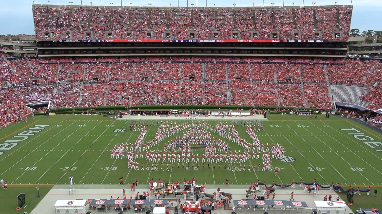 Welcome to the Jungle | AUMB 2024