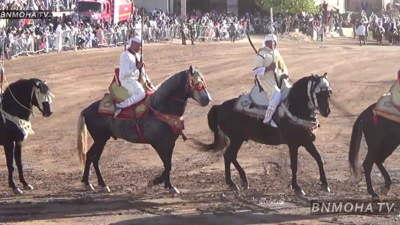 افتتاح مهرجان التبوريدة ب اولاد عبدالله اقليم الفقيه بن صالح اليوم الاول