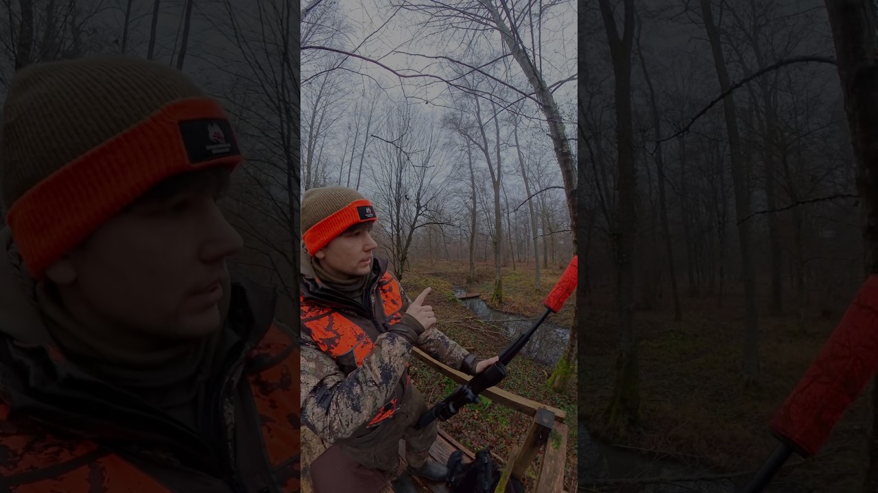 Dr&uuml;ckjagd 🔶🐗🦌🌲 -  waidmannsheil und reichlich Anblick #jagd #wald #jagen #dr&uuml;ckjagd