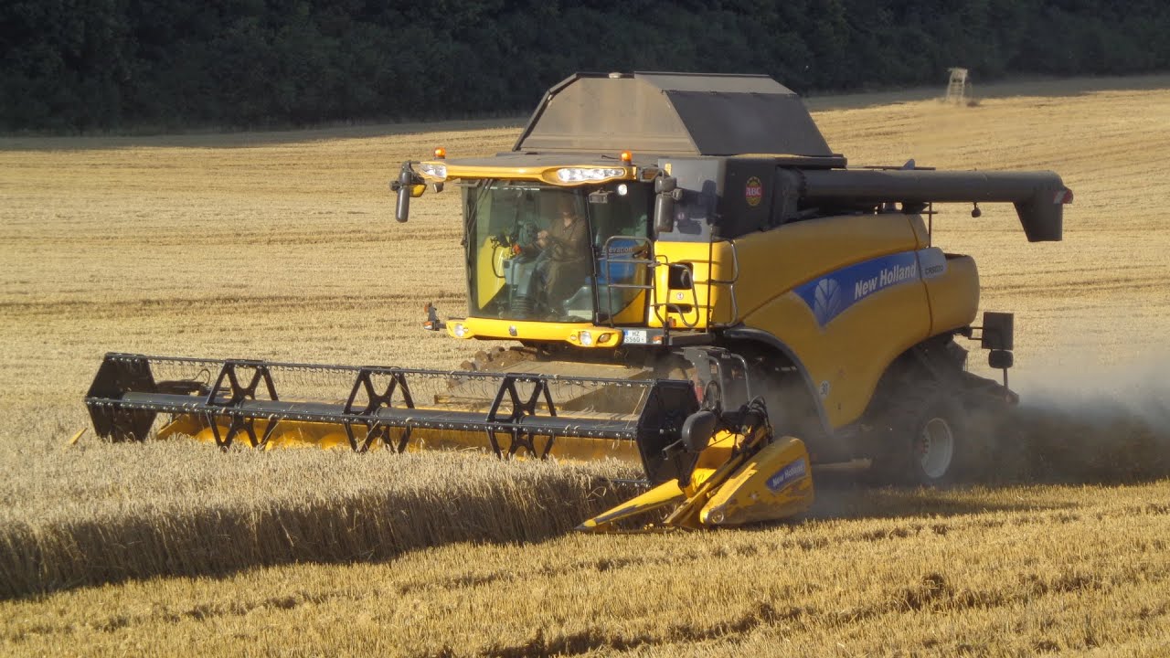 New Holland CR 9080 Weizen dreschen bei Sargstedt, Ernte 2016