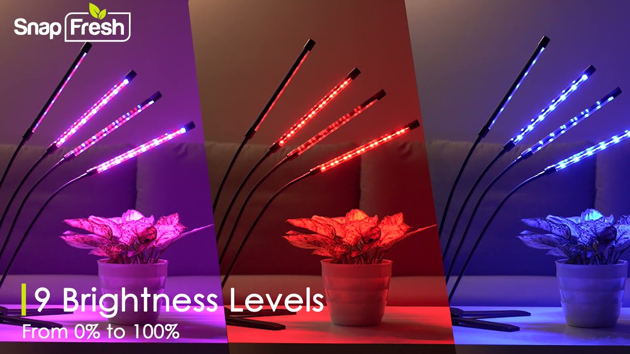 SnapFresh Indoor grow light