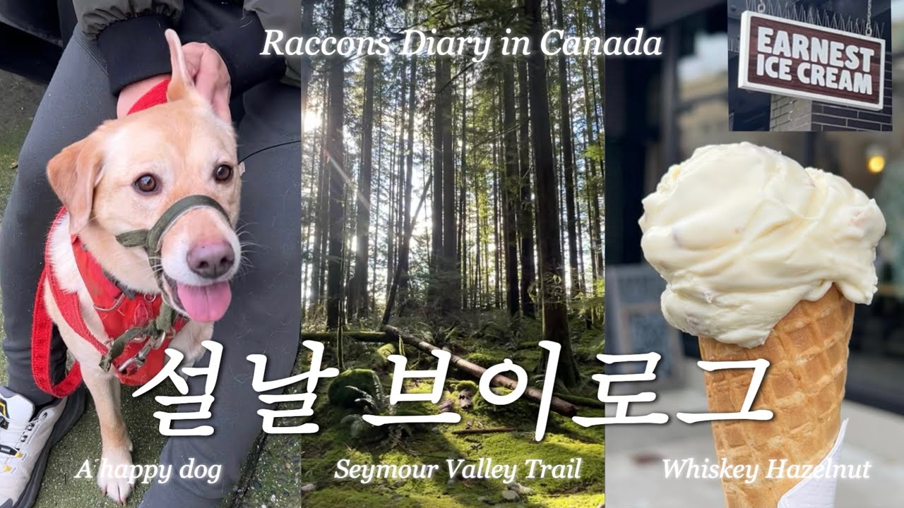 [캐나다브이로그] 캐나다에서 맞이하는 평온한 설날 🇨🇦 | 시모어 밸리 산책과 달콤한 아이스크림