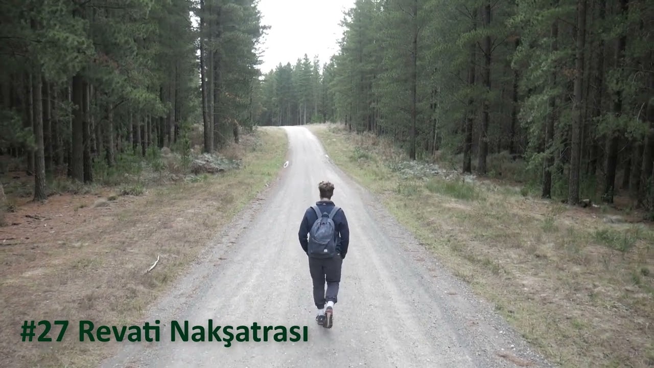 Nakşatralar #27 Revati / Revati Nakshatra