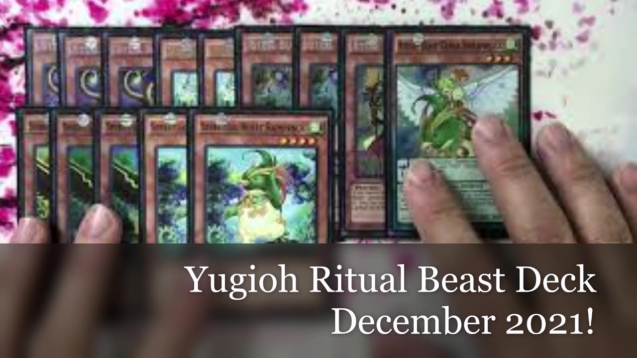 Yugioh Ritual Beast deck December 2021!