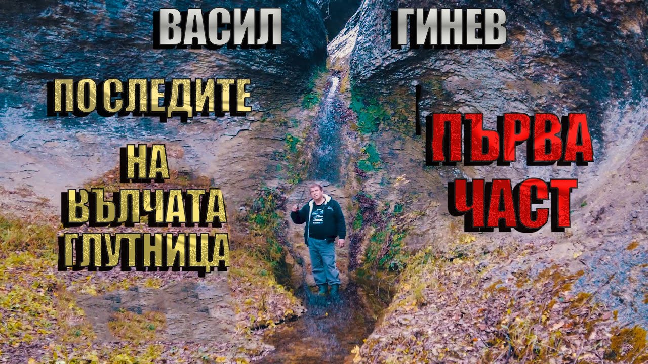 По следите на Вълчата глутница - част първа. / On the trail of the wolf pack.