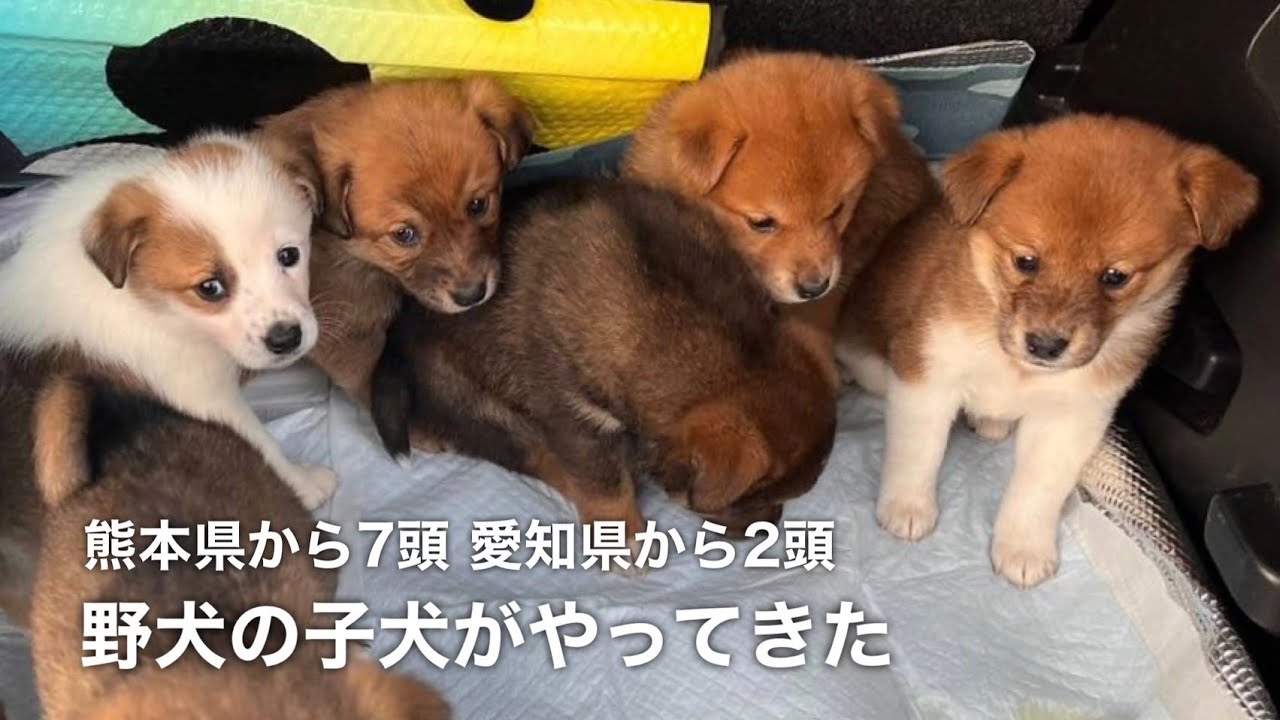僕達は生きれるんだよ