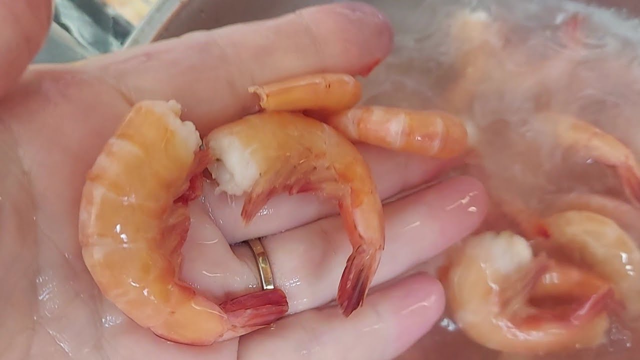كروفات بالصوص🦐🦐 تهبل في البنة جربوها👍شابة