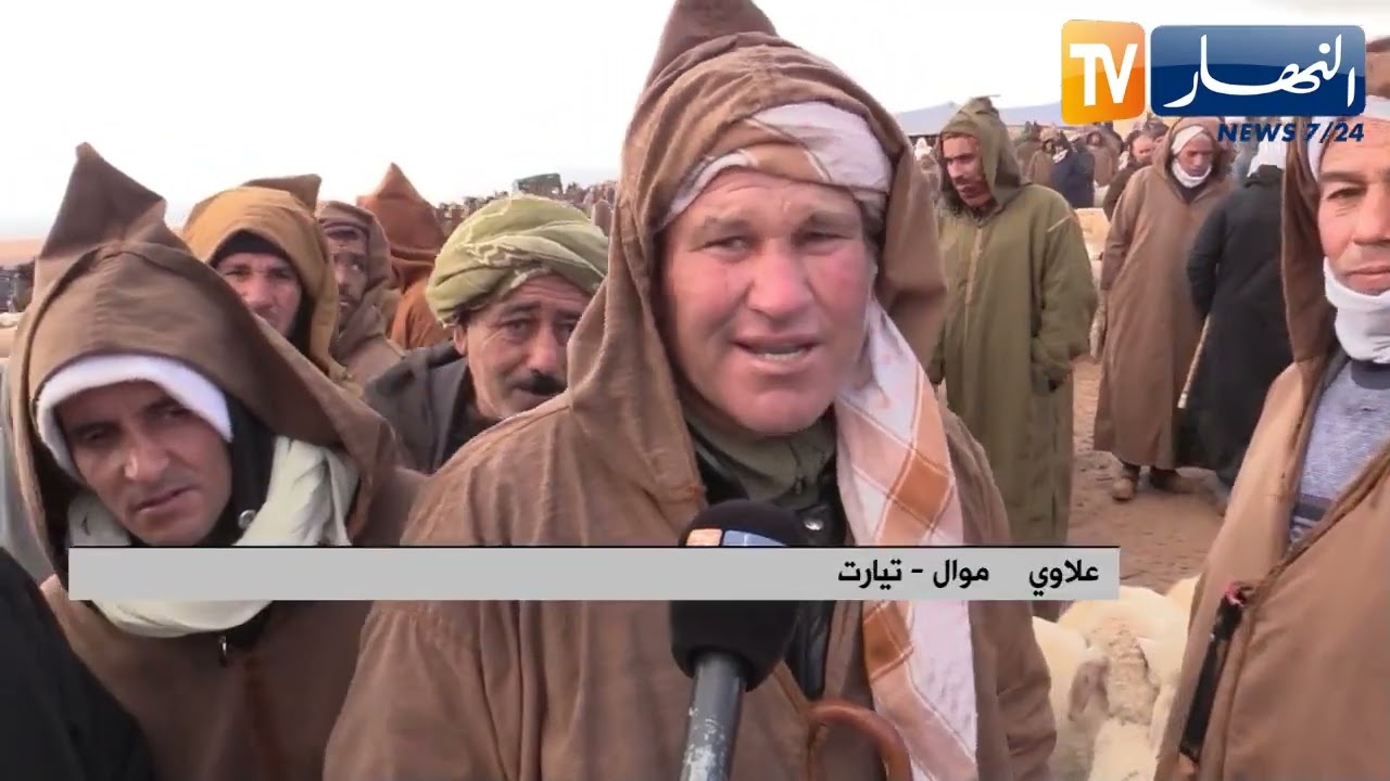 تيارت: بعد التساقطات المطرية.. الموالون متفائلون لأنتاج أوفر