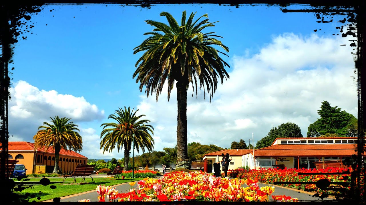 ROTORUA, New Zealand 🇳🇿 First Impressions of the 