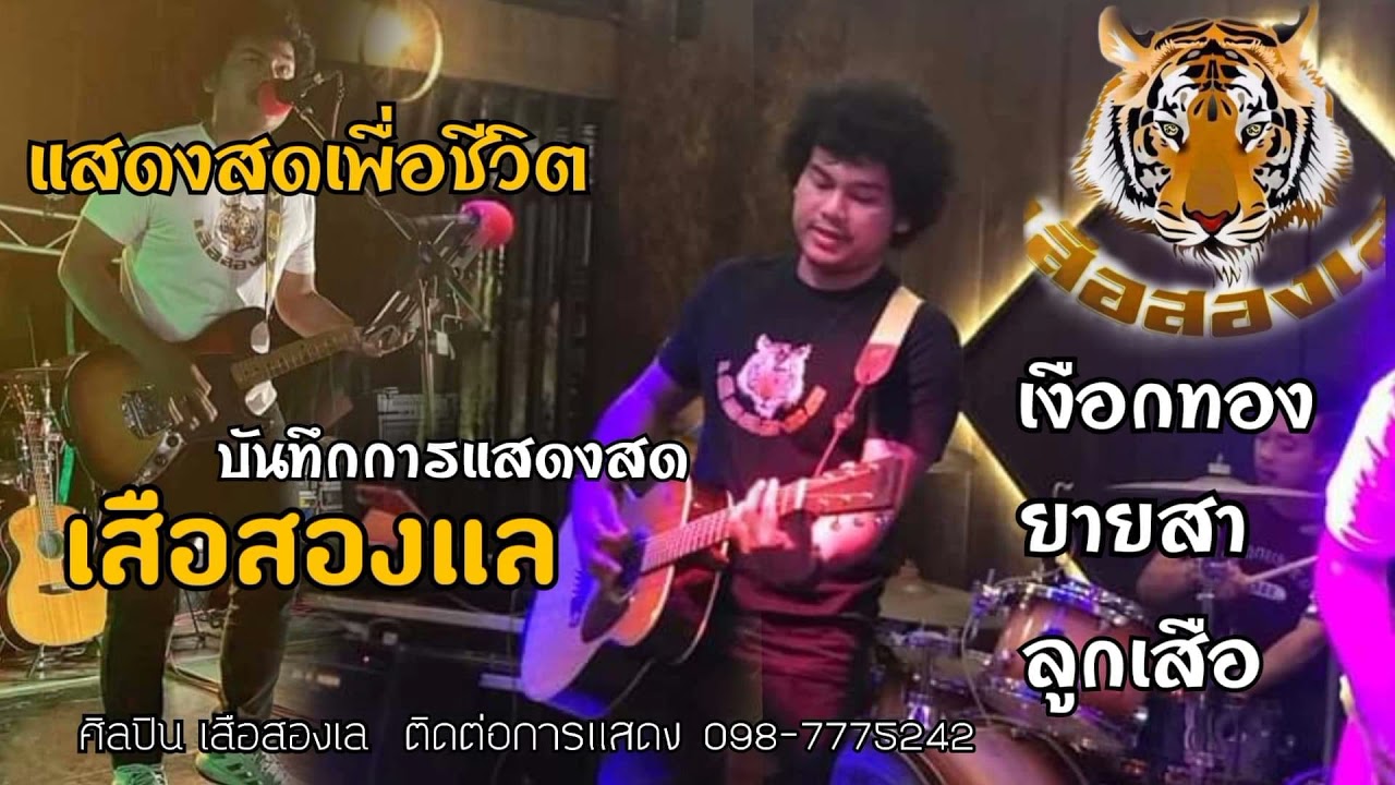 รวมเพลง เสือสองเลแสดงสด เงือกทอง,ยายสา,ลูกเสือ เพราะๆ ฟังสบาย [ official Audio ]