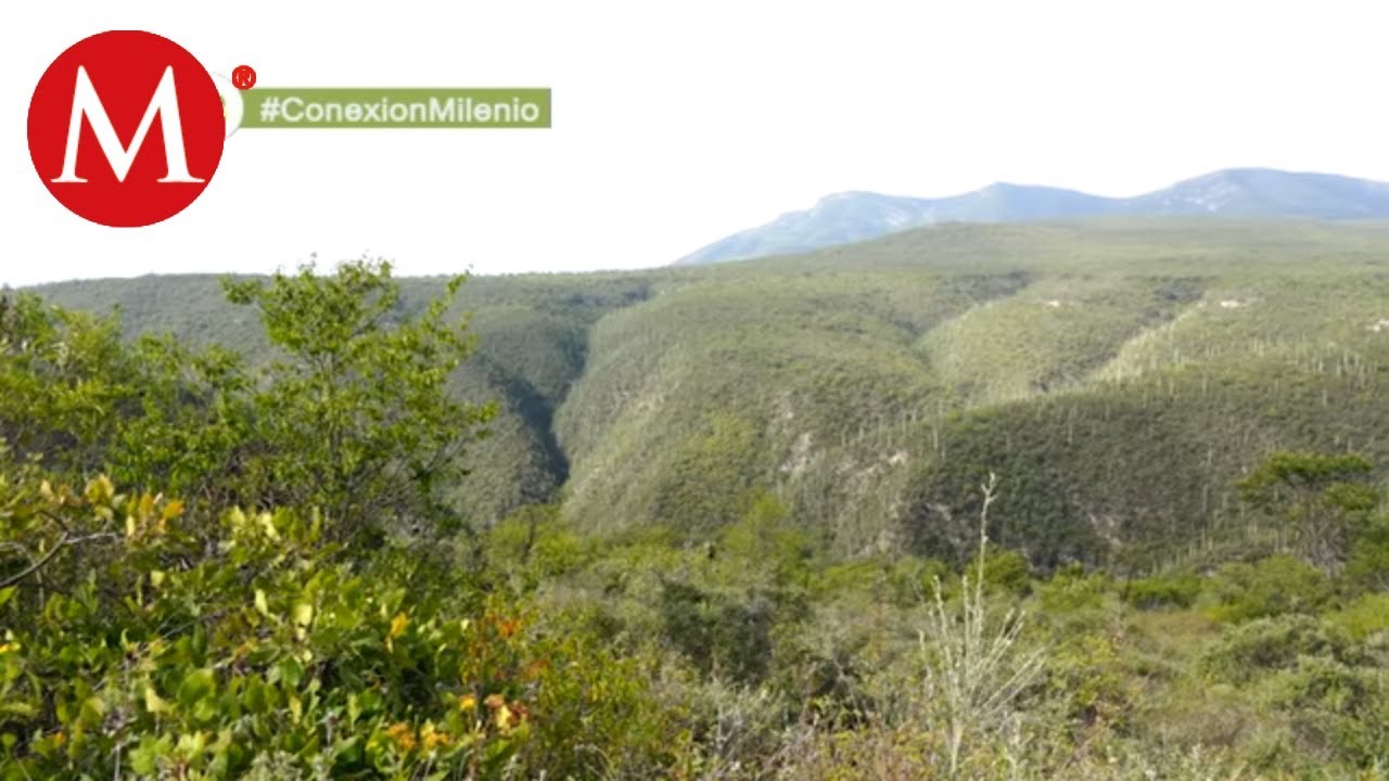 Sierra del Tentzo | Conexión Milenio