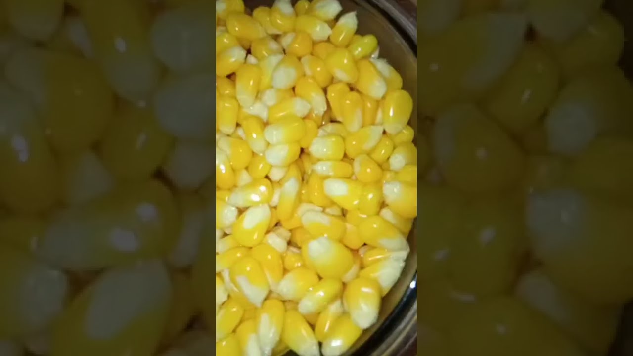 How to Store Corn?