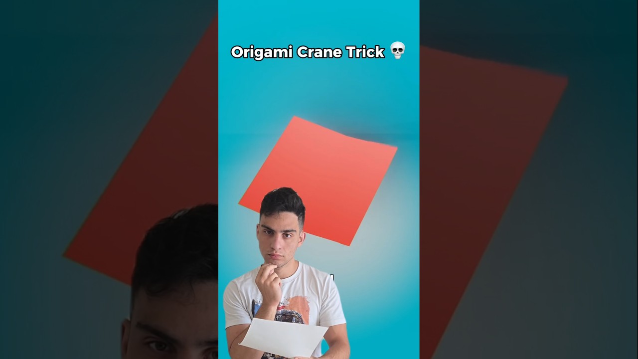 I Tested the Origami Crane &lrm;⁨@zackdfilms