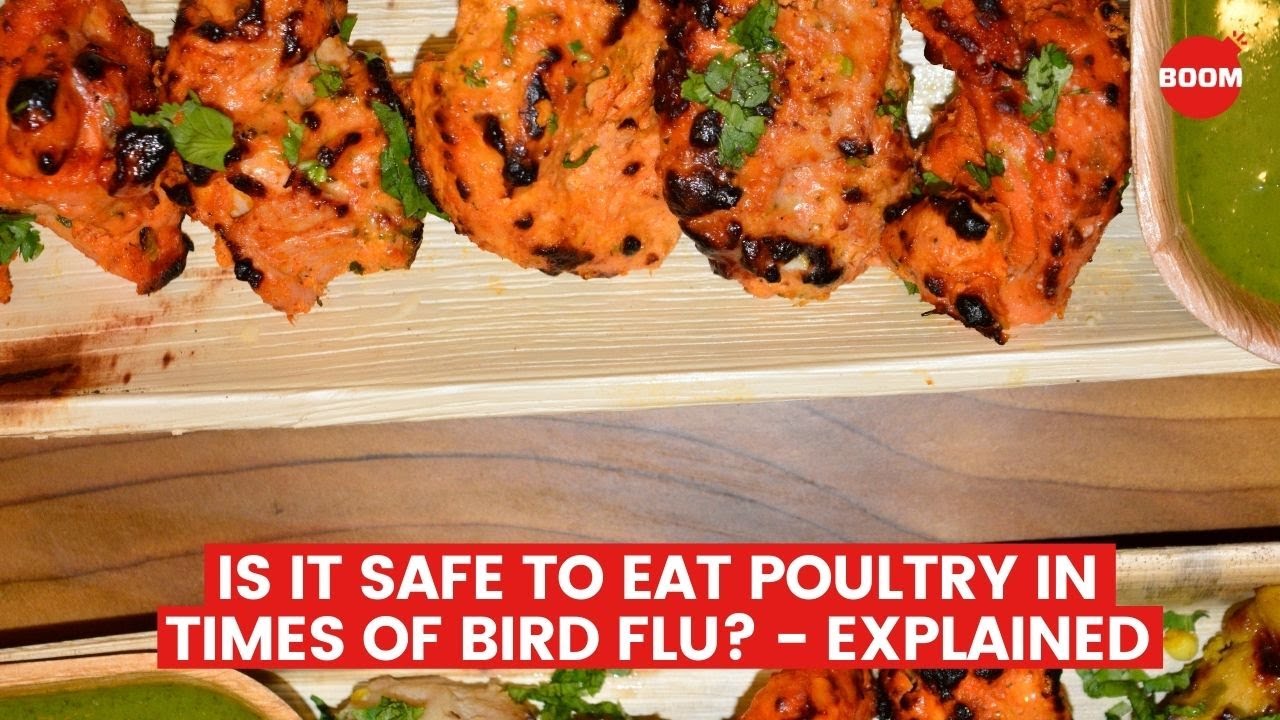 Is It Safe To Eat Chicken or Poultry Meat In Times Of Bird Flu? - Explained | BOOM | Bird Flu India