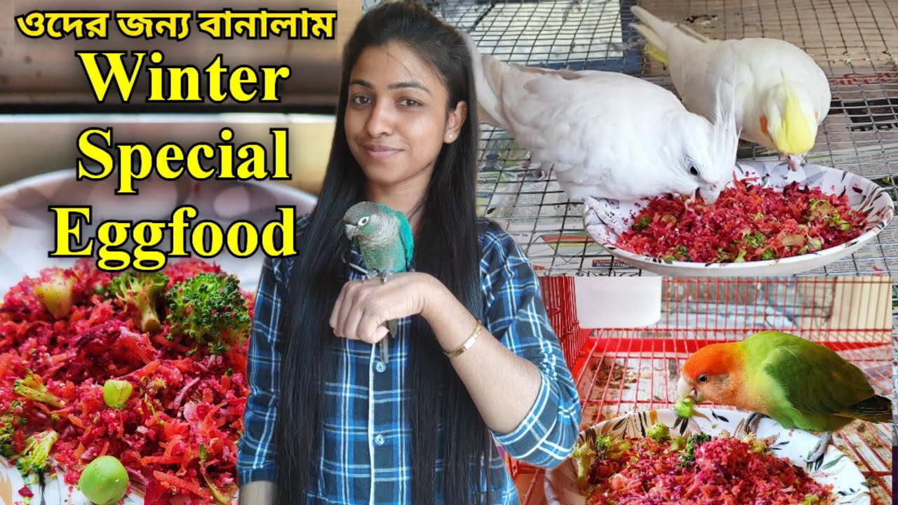 ।।ওদের জন্য বানালাম Winter Special Eggfood।।