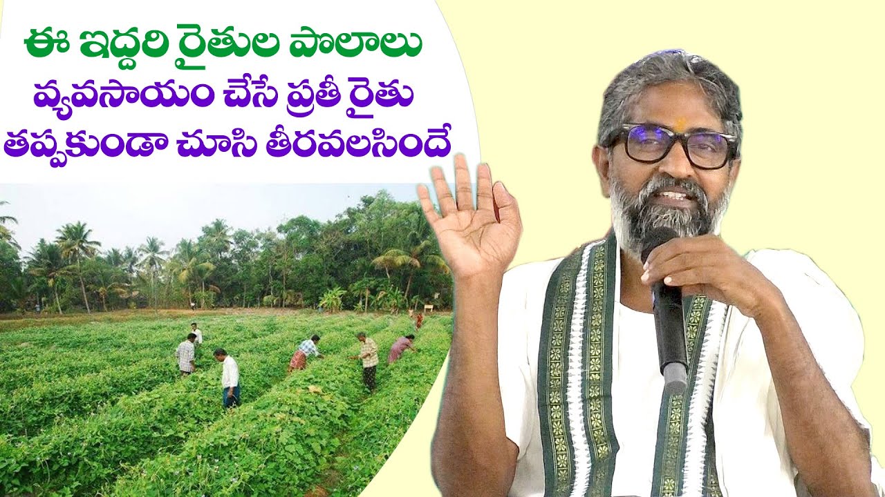 ఈ ఇద్దరి పొలాలని,వ్యవసాయం చేసే ప్రతీ రైతు తప్పకుండాచూసి తీరవలసిందే|విజయరాం గారి కళ్ళలో ఆనందం చూడాలి