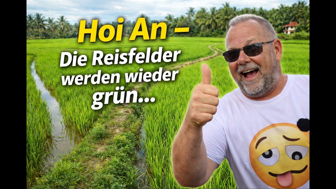 Hoi An: Die Reisfelder werden wieder grün !
