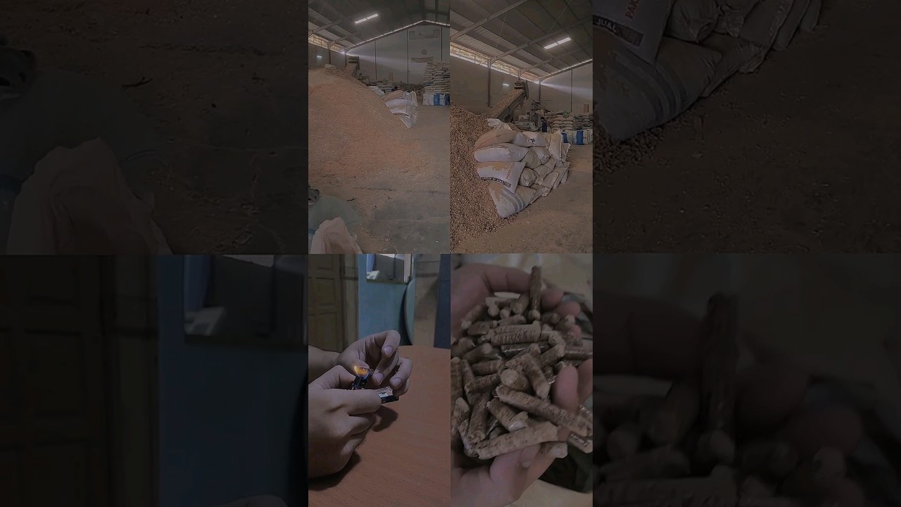 Wood Pellet #woodpellet #bahanbakar #biomasspellets #peletkayu