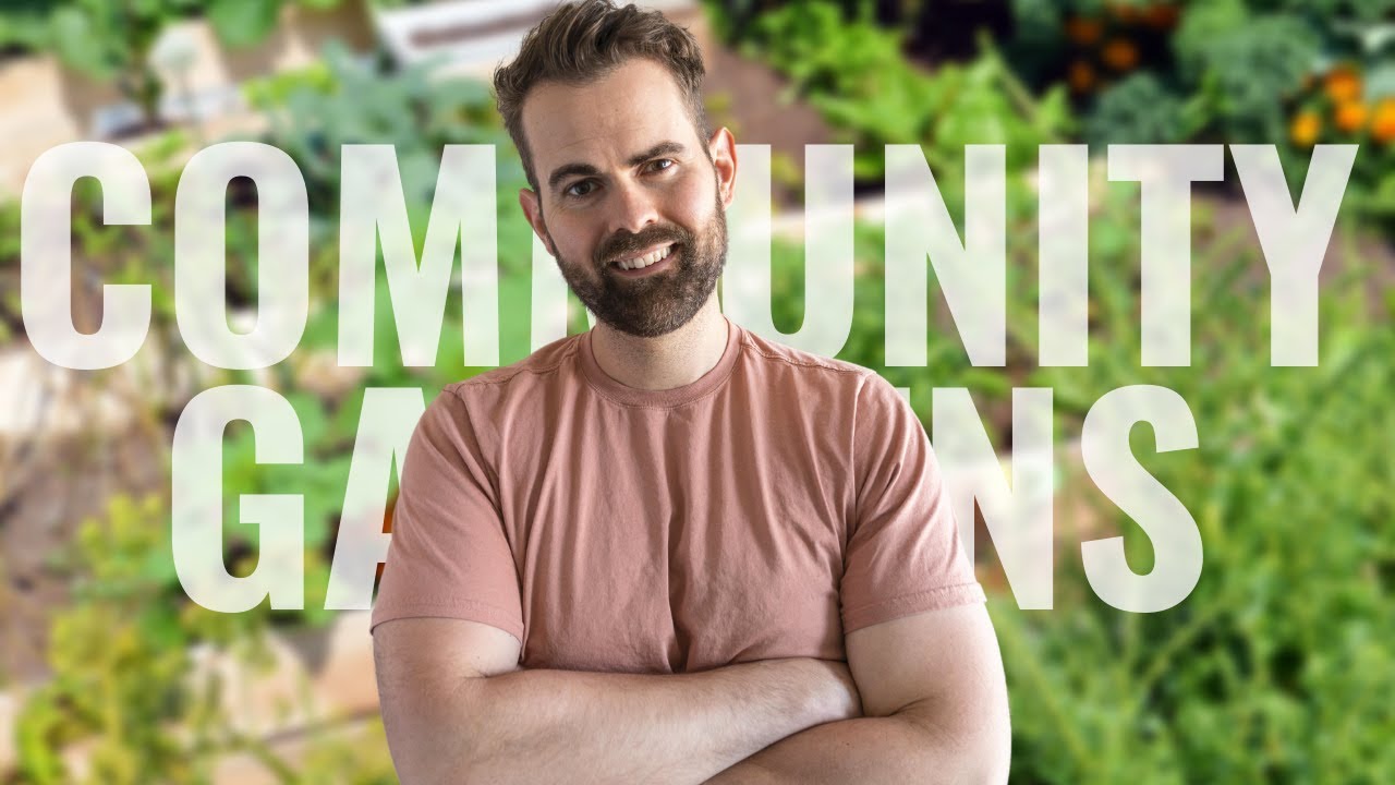 Community gardens can change cities. Cultivate more than food.