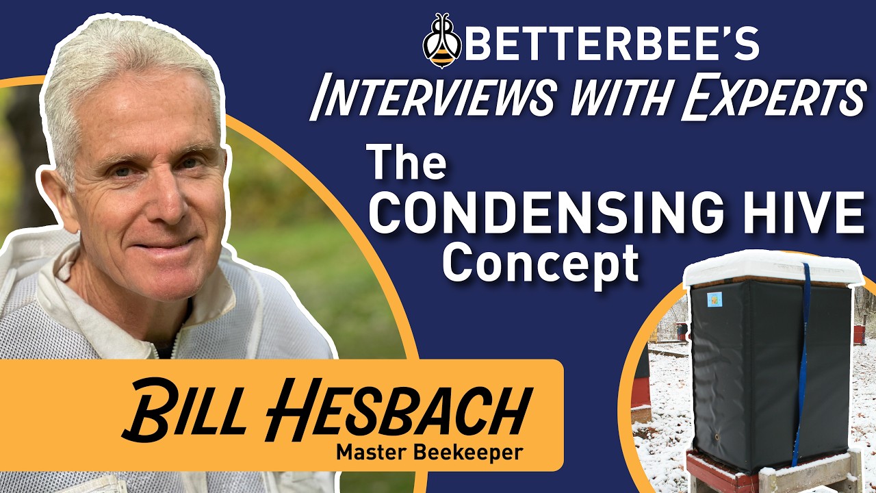 Interview with Experts: The Condensing Hive Concept with Dr. David Peck and Bill Hesbach