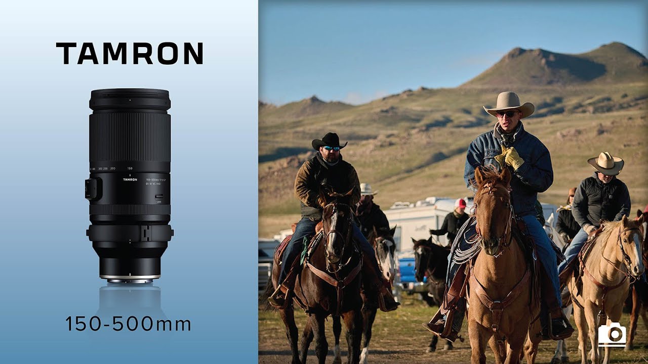 Обзор Tamron 150-500mm Nikon | Лучший бюджетный телеобъектив с переменным фокусным расстоянием дл...