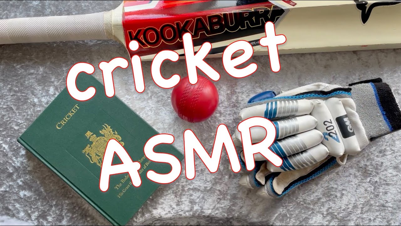 cricket🏏[ASMR] equipment & reading