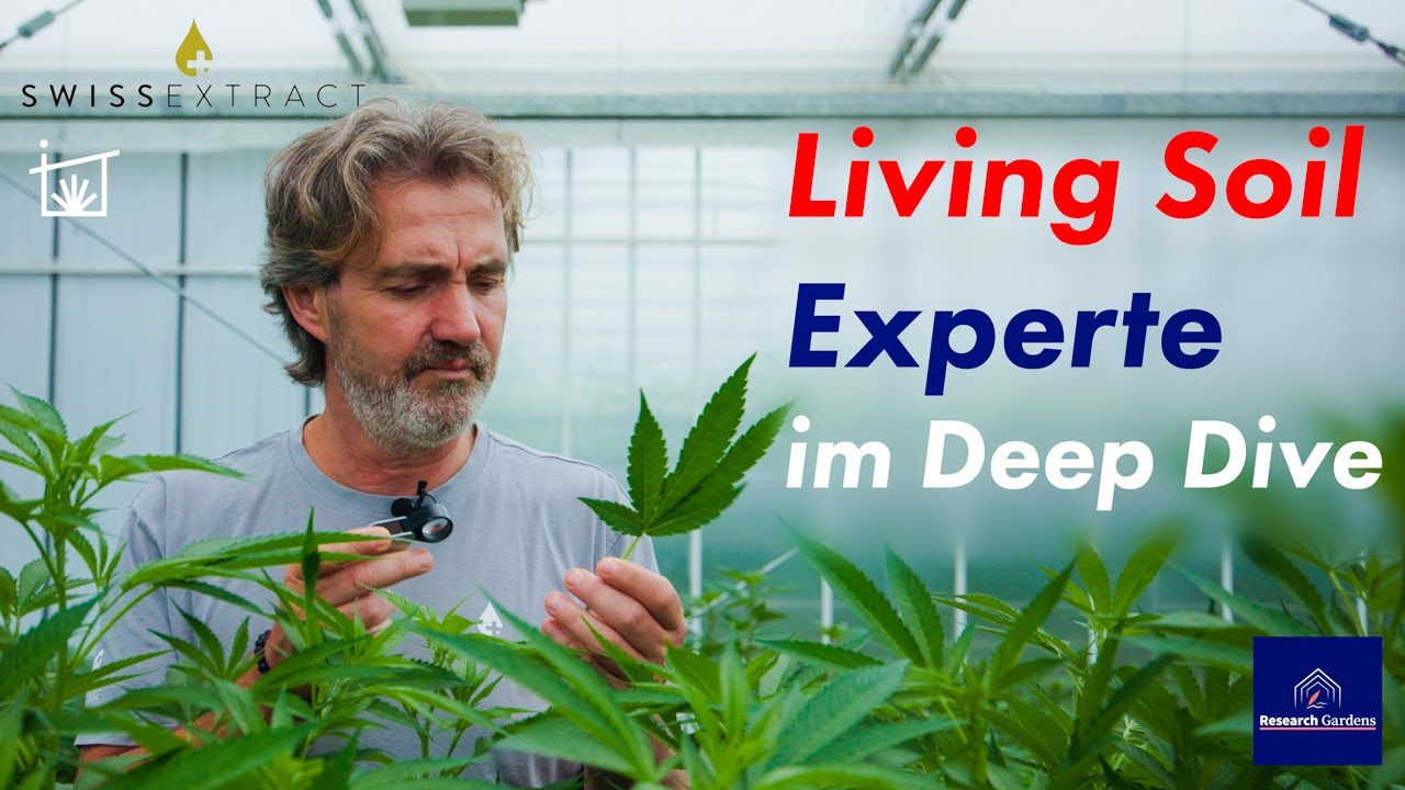 Kunst des Living Soil - biologisches Cannabis f&uuml;r🇨🇭Grashaus Projects von Swiss Extract