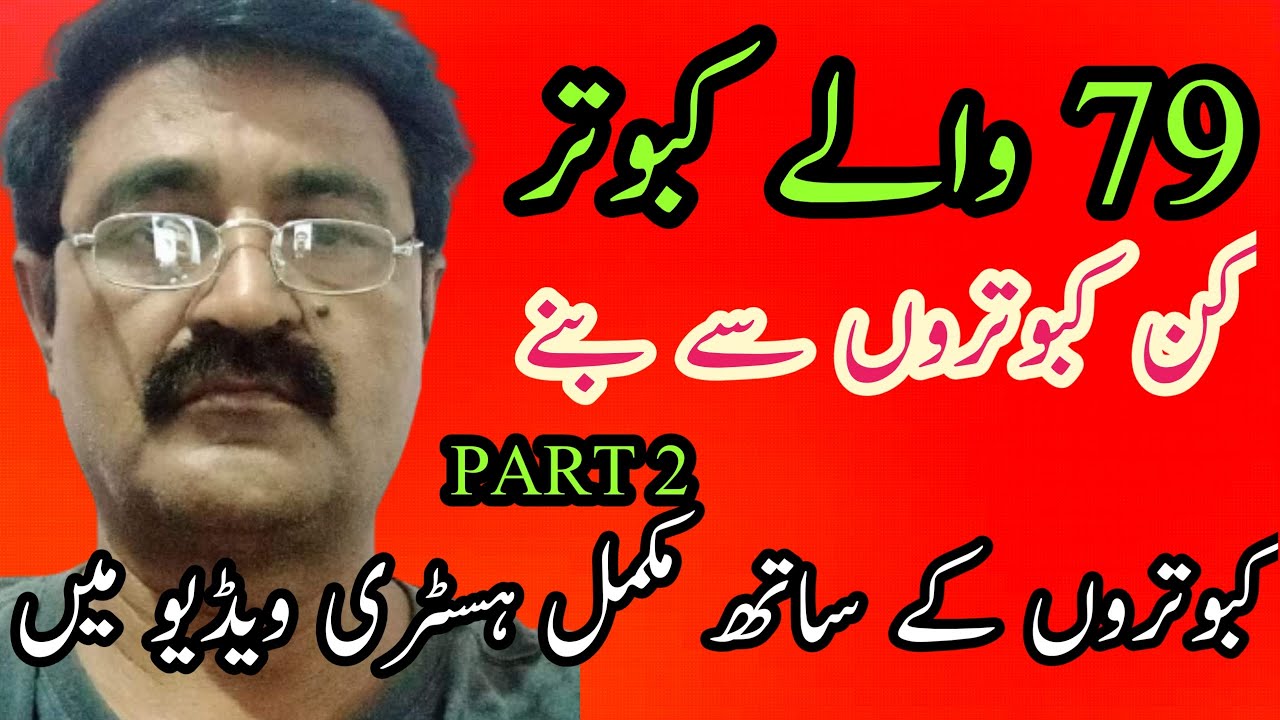 79 wale Kabootar ki history | achay Kabootar Ki Pehchan | 79 Walay Kabootar Ki Pehchan | PART 2