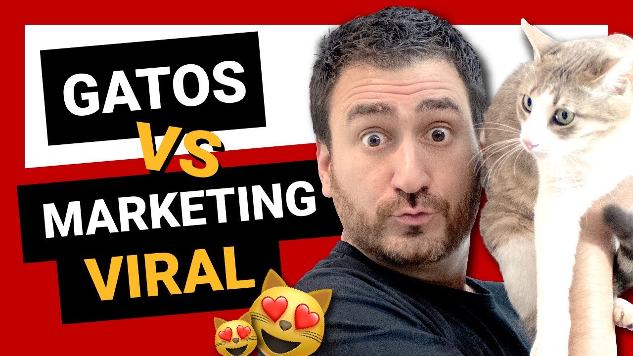 😻 Gatos y Marketing viral - Como viralizar! 🙀
