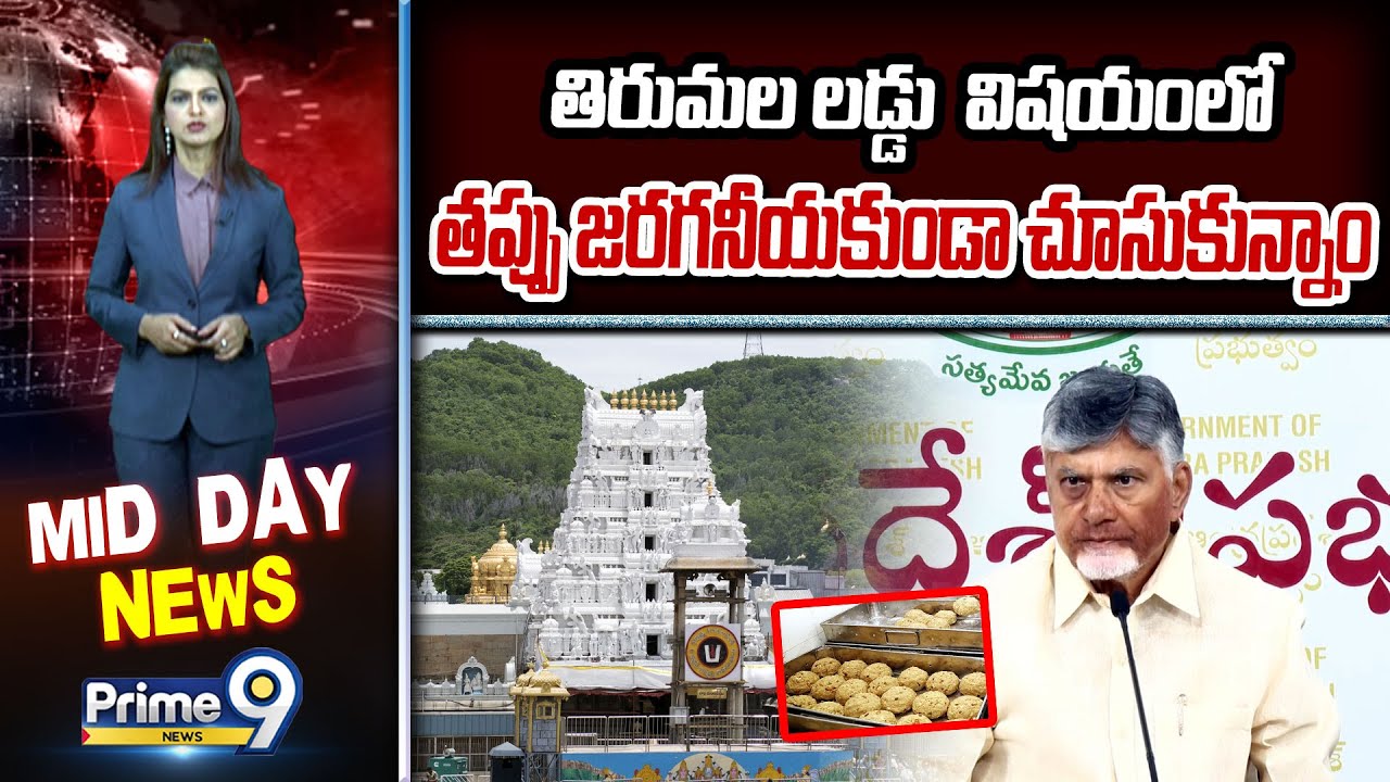 తిరుమల లడ్డు  విషయంలో తప్పు జరగనీయకుండా చూసుకున్నాం | CM Chandrababu | Prime9 News