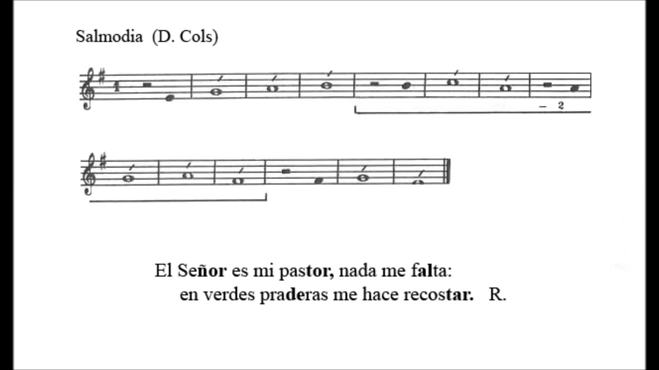 Salmo XVI del Tiempo Ordinario Ciclo B