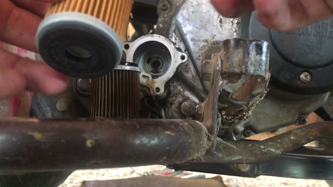 Yamaha Bear Tracker Oil Change