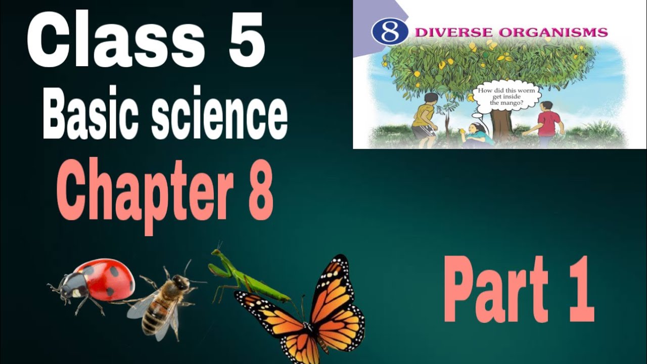 Class 5 Basic Science Chapter 8 | Diverse Organisms | Easy Explanation in English#class5