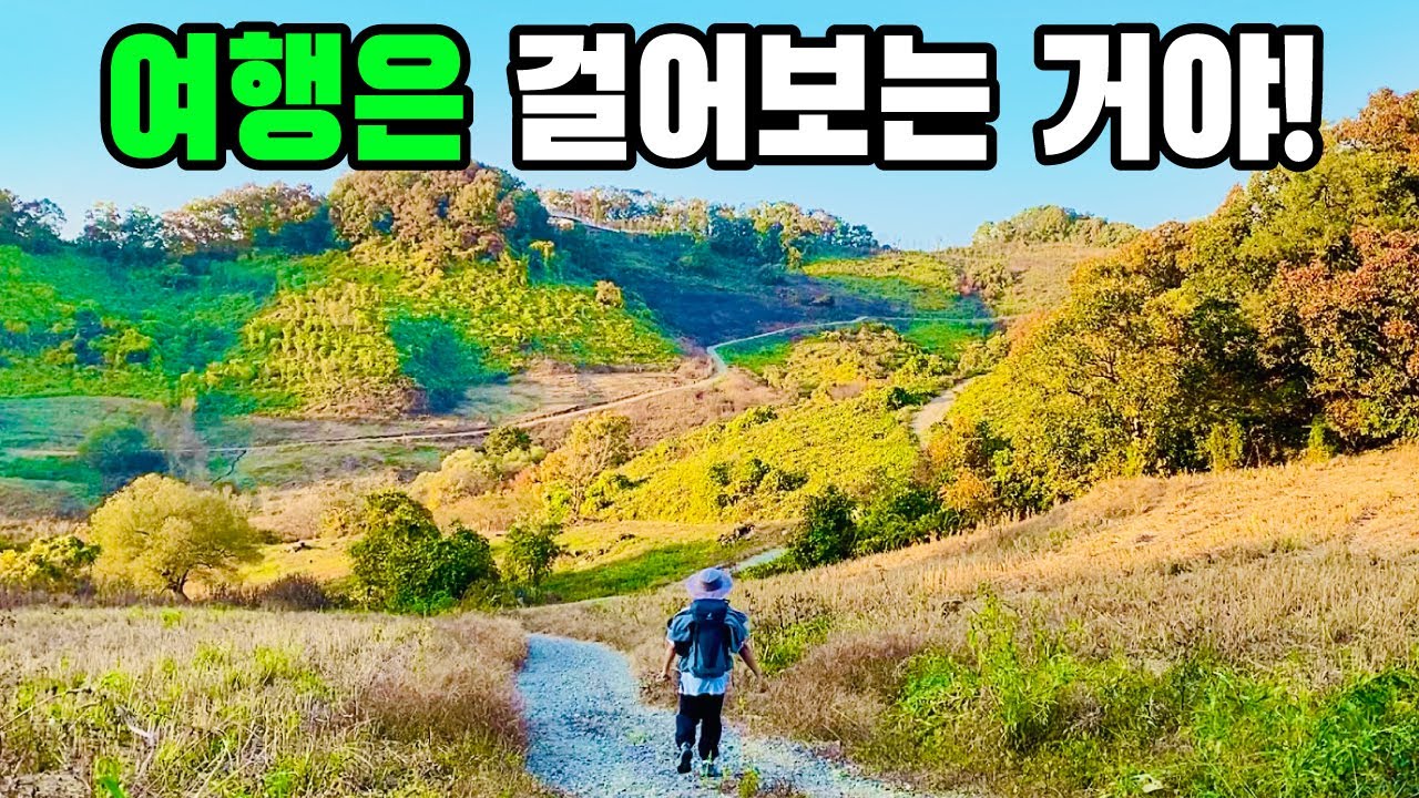 느리게 걷다 보면 몰랐던 세상이 펼쳐진다! DMZ평화의길 11,12,13코스 [ep.7]