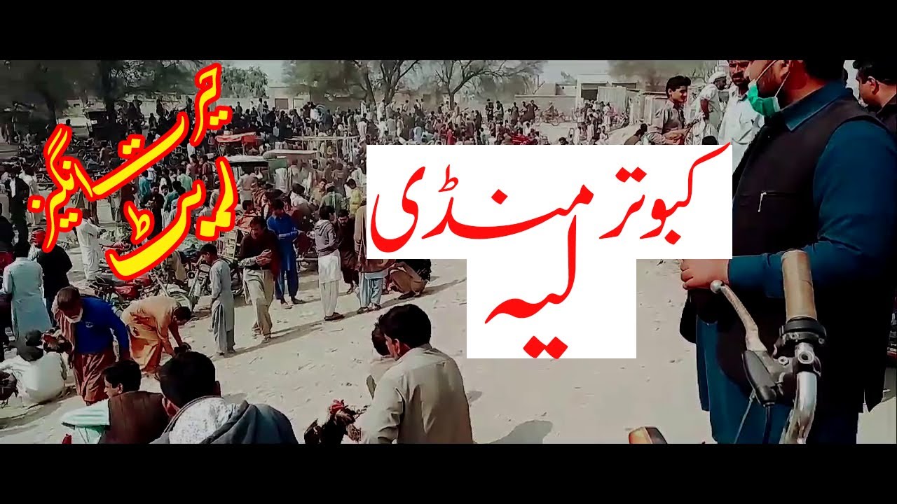 Layyah Kabootar Mandi | birds market in Layyah