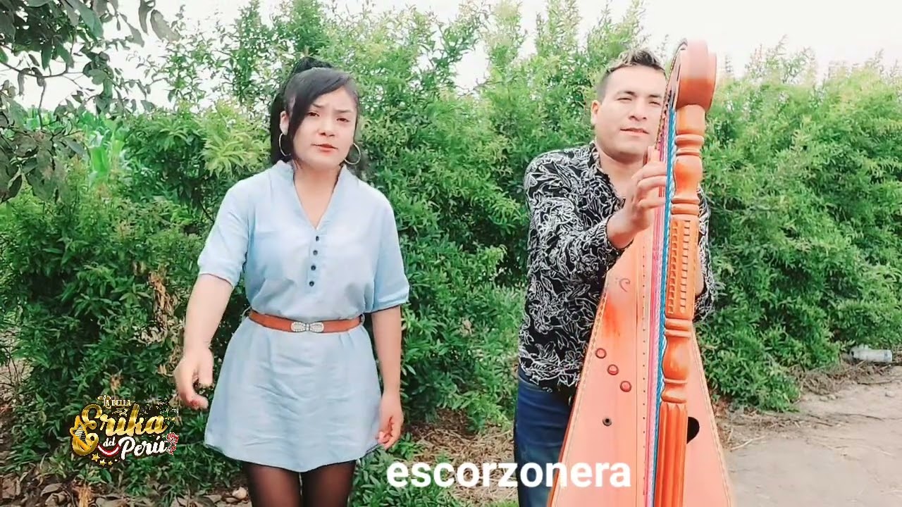Erika y zhamuko del peru/ Escorzonera