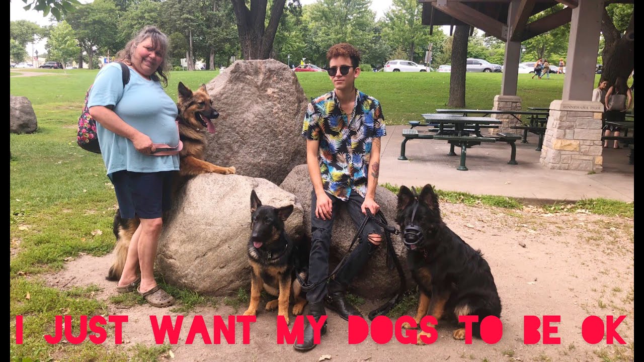I’m terminally ill and concerned for my dogs
