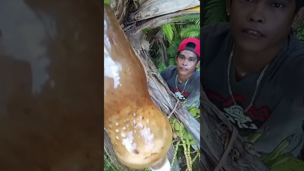 kaya hpon Naman mananggot npod tah anih😁😁😁😁🥰🥰🥰